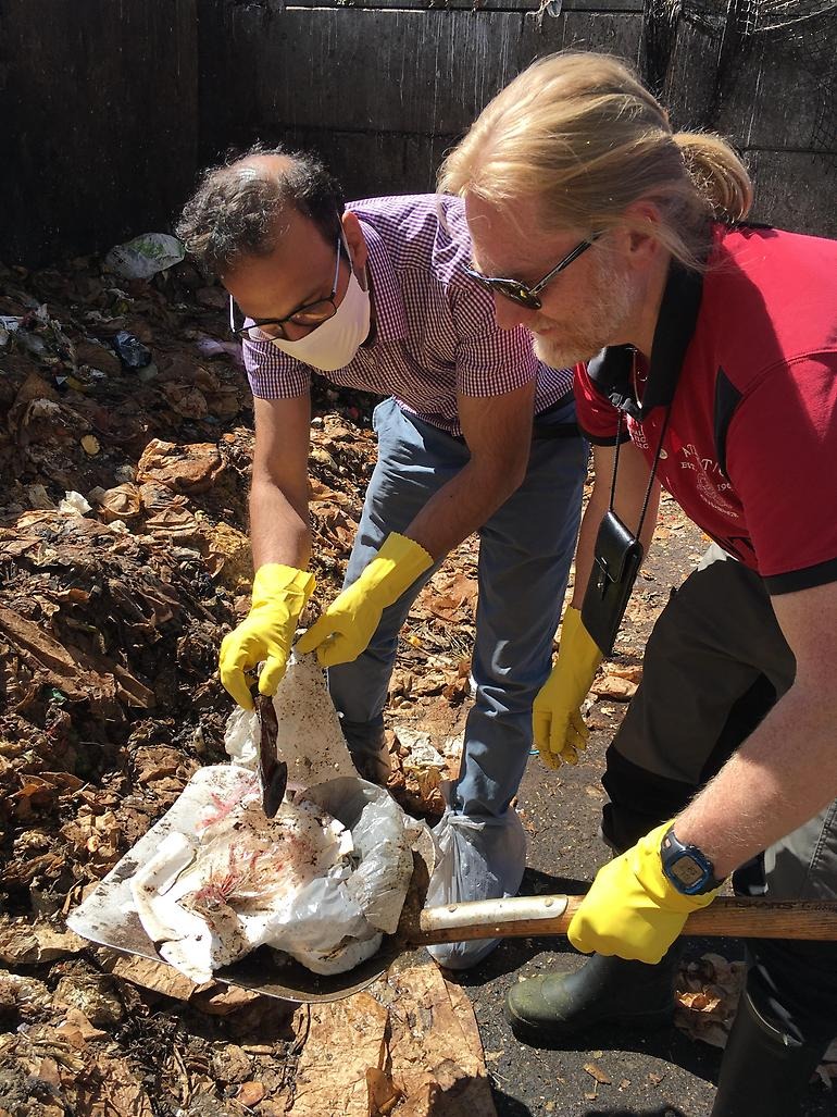 Två män som forskar på plast står med handskar och munskydd och samlar plastsorter ur matavfall