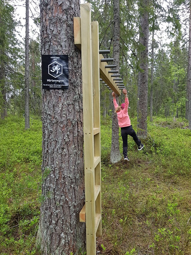 Armgångsbana i skogen mellan två träd. En flicka i rosa jacka släpper just taget och hoppar mot marken